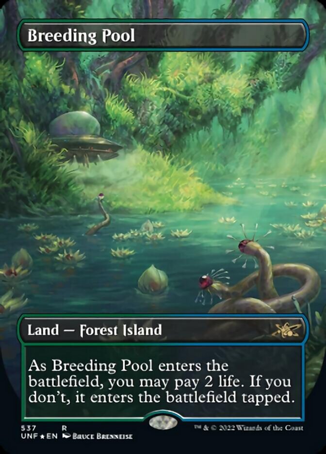 Breeding Pool (Borderless) (Galaxy Foil) [Unfinity] | Boutique FDB TCG