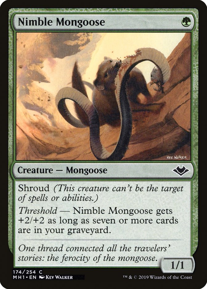 Nimble Mongoose [Modern Horizons] | Boutique FDB TCG