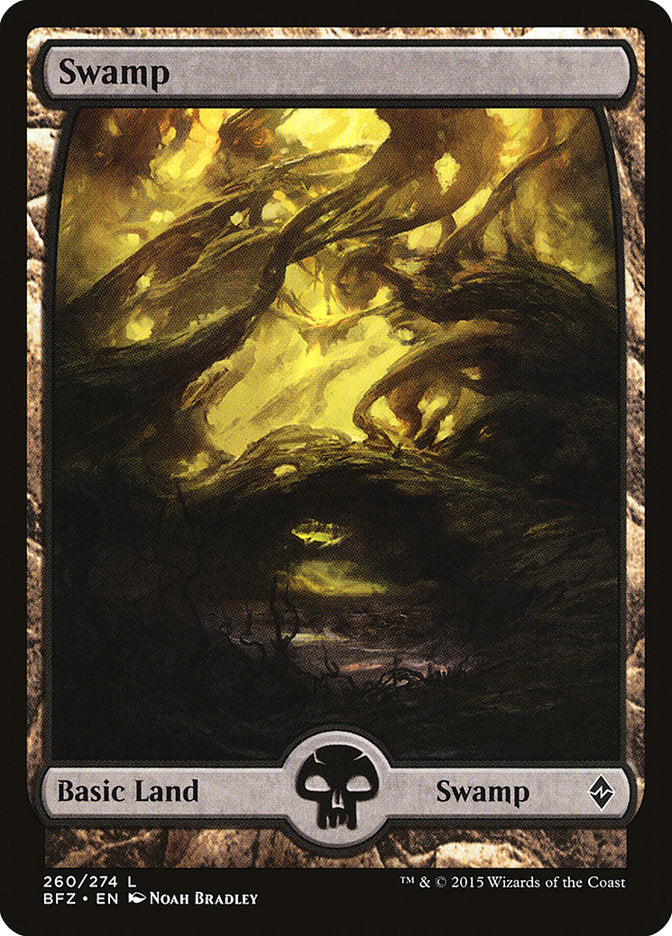 Swamp (260) (Full Art) [Battle for Zendikar] | Boutique FDB TCG