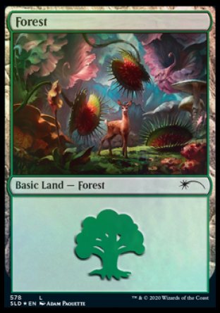 Forest (Predatory) (578) [Secret Lair Drop Promos] | Boutique FDB TCG