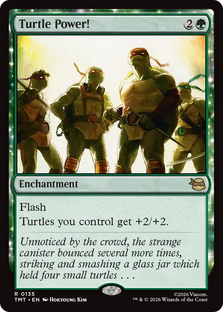 Turtle Power! [Teenage Mutant Ninja Turtles] | Boutique FDB TCG