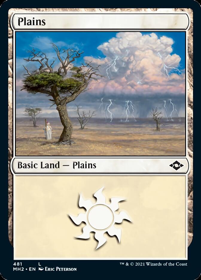 Plains (481) (Foil Etched) [Modern Horizons 2] | Boutique FDB TCG
