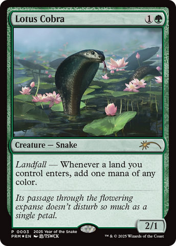 Product image for Boutique FDB TCG