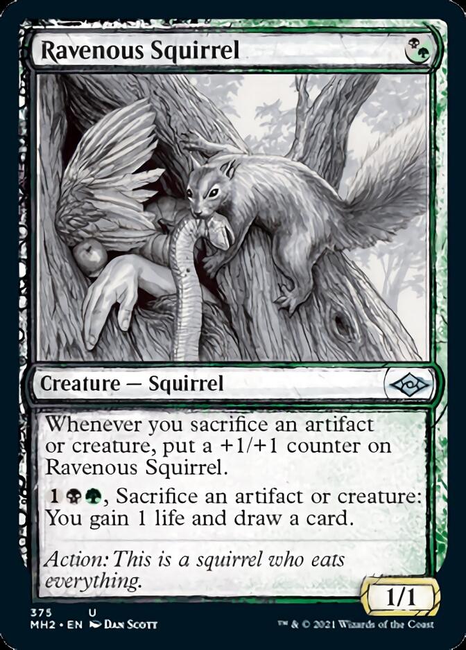 Ravenous Squirrel (Sketch) [Modern Horizons 2] | Boutique FDB TCG