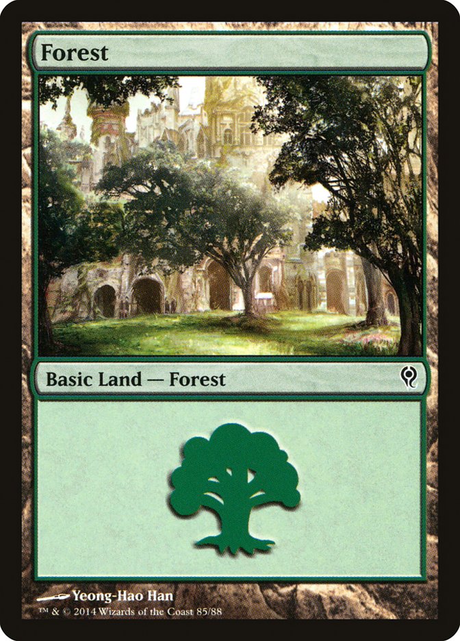 Forest (85) [Duel Decks: Jace vs. Vraska] | Boutique FDB TCG