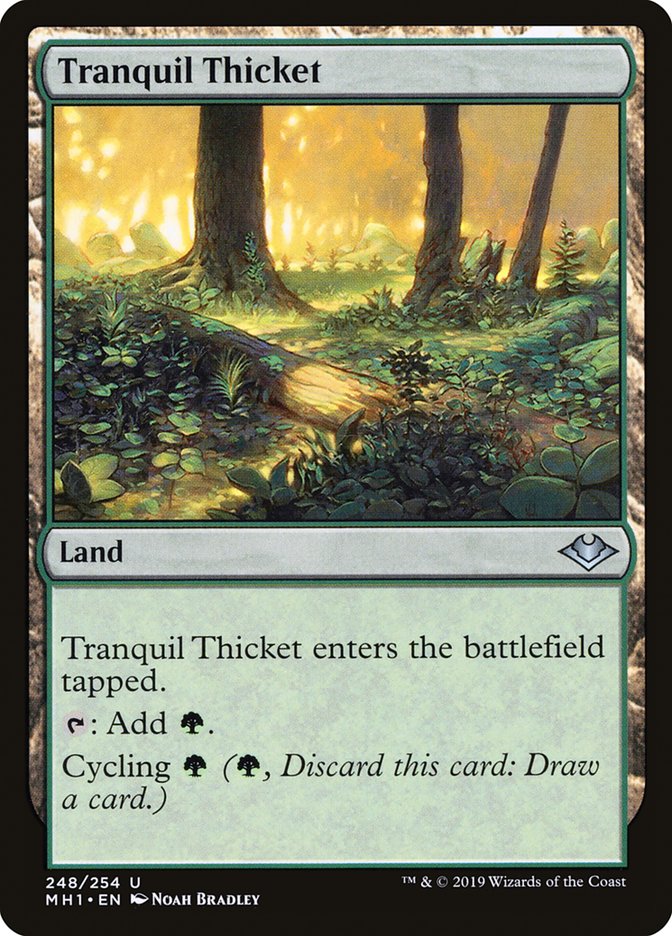 Tranquil Thicket [Modern Horizons] | Boutique FDB TCG