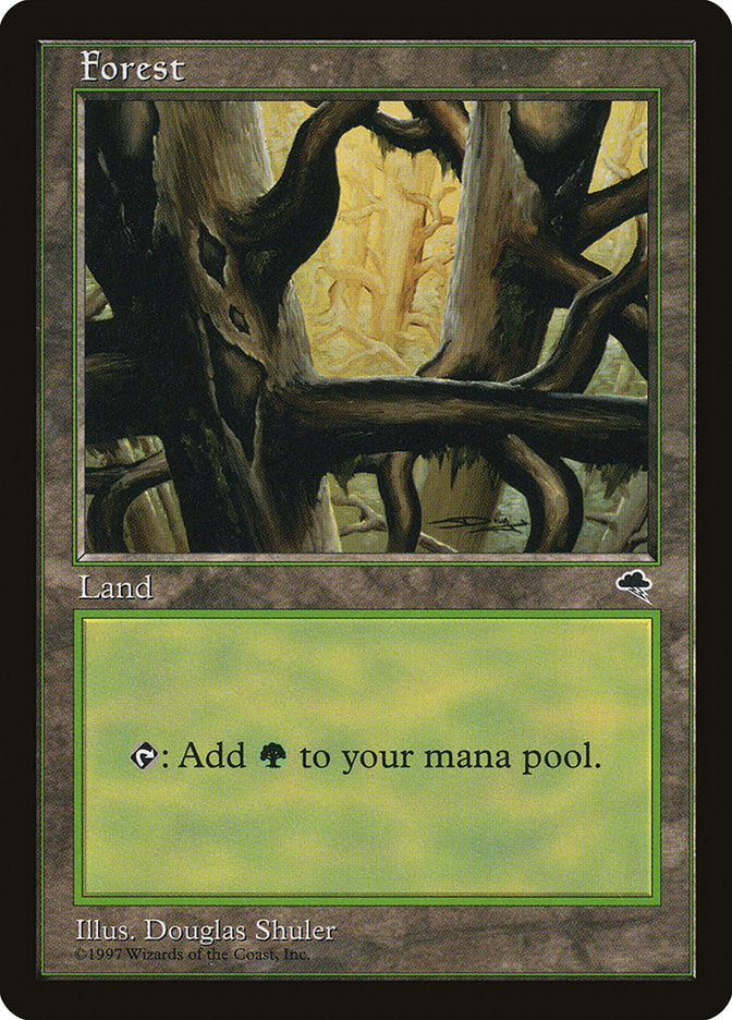 Forest (Black Signature) [Tempest] | Boutique FDB TCG