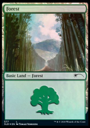 Forest (Walls) (577) [Secret Lair Drop Promos] | Boutique FDB TCG