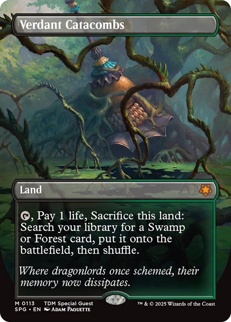 Verdant Catacombs (Borderless) [Tarkir: Dragonstorm Special Guests] | Boutique FDB TCG