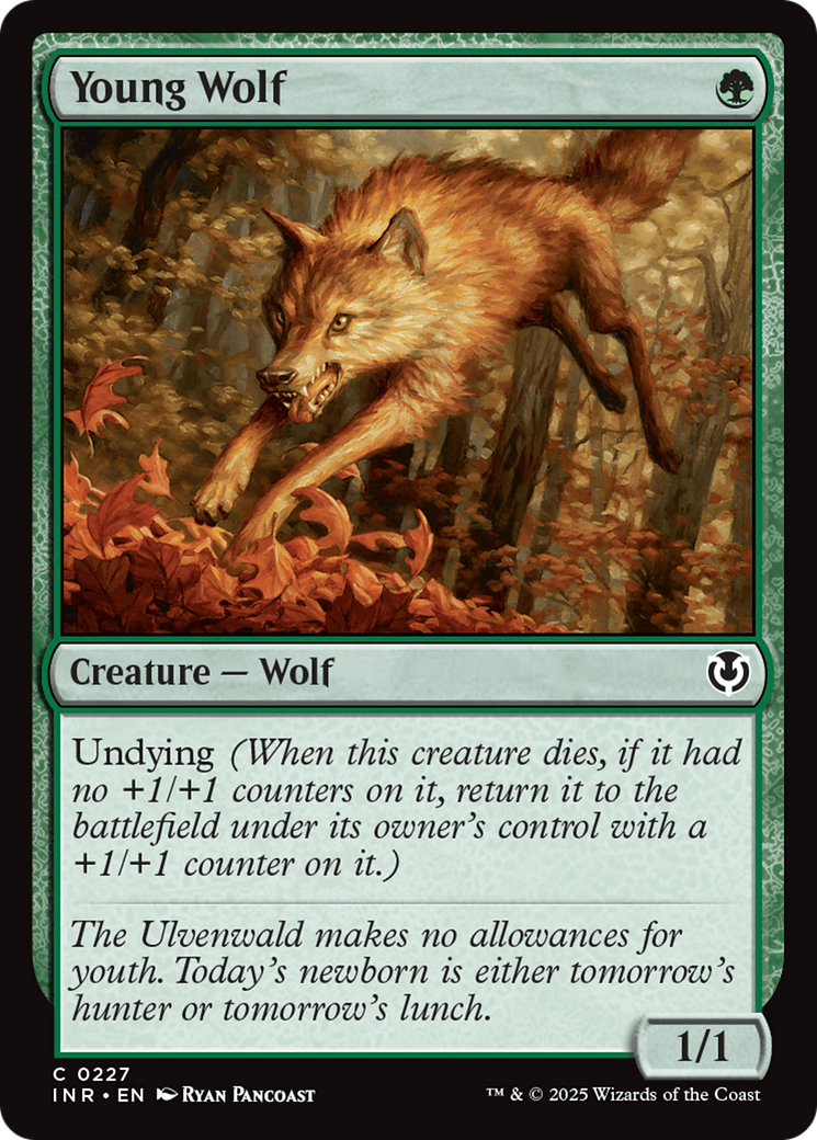 Young Wolf [Innistrad Remastered] | Boutique FDB TCG