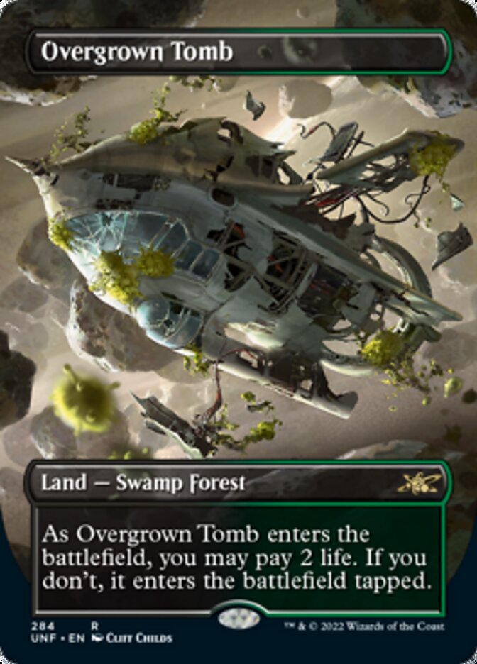 Overgrown Tomb (Borderless) [Unfinity] | Boutique FDB TCG