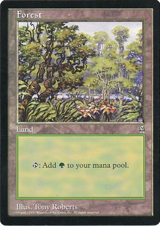 Forest (Oversized) [Oversize Cards] | Boutique FDB TCG