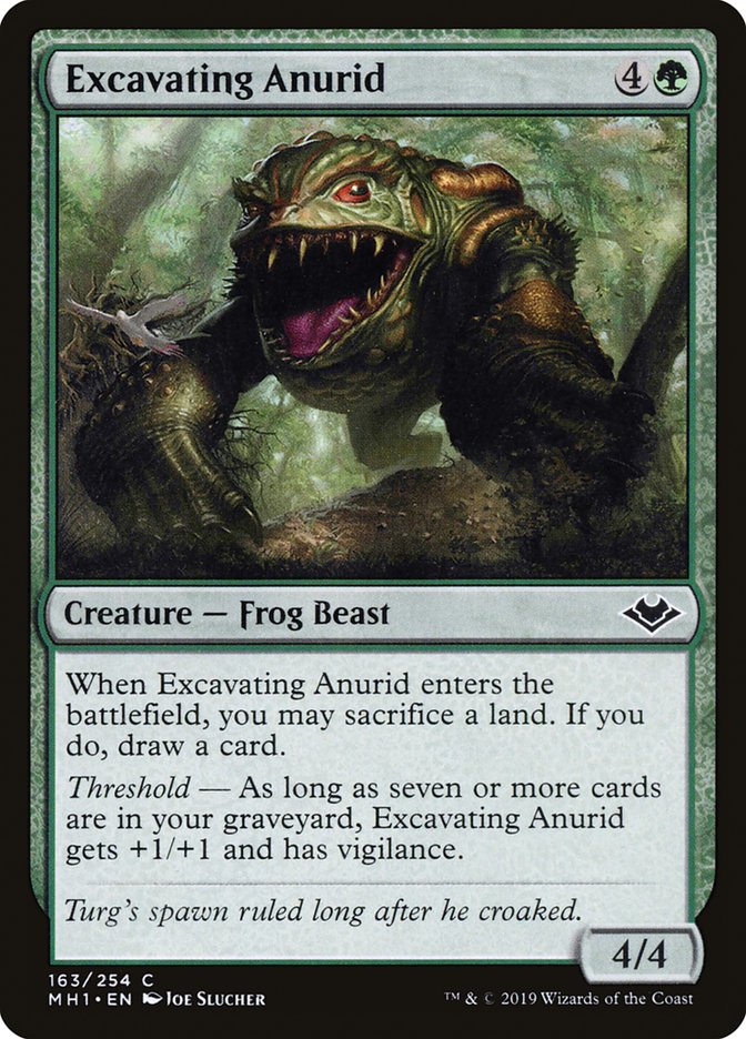 Excavating Anurid [Modern Horizons] | Boutique FDB TCG