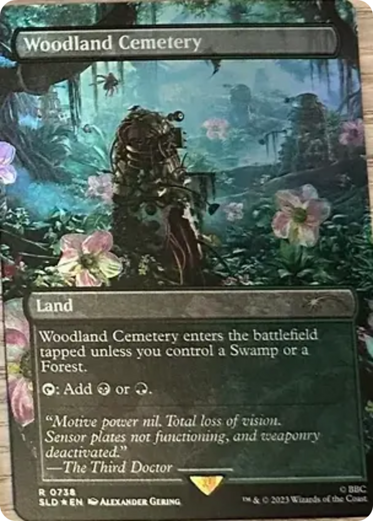 Woodland Cemetery [Secret Lair Drop Series] | Boutique FDB TCG