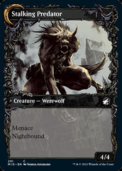 Shady Traveler // Stalking Predator (Showcase Equinox) [Innistrad: Midnight Hunt] | Boutique FDB TCG