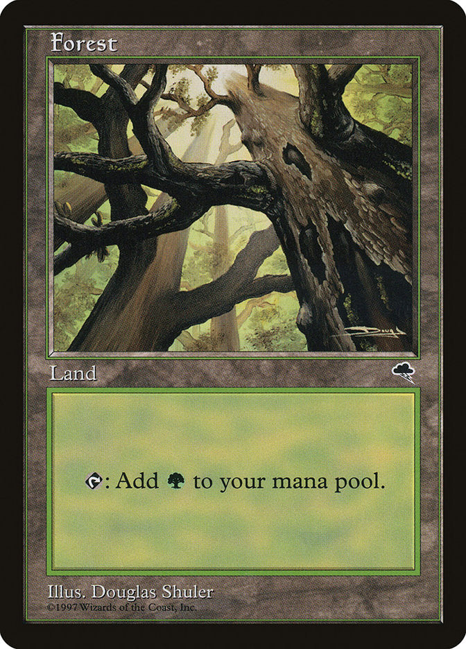 Forest (Looking from Below) [Tempest] | Boutique FDB TCG