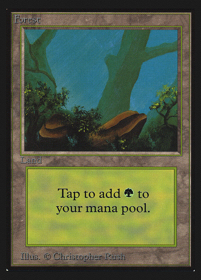Forest (Two Stones) [International Collectors' Edition] | Boutique FDB TCG
