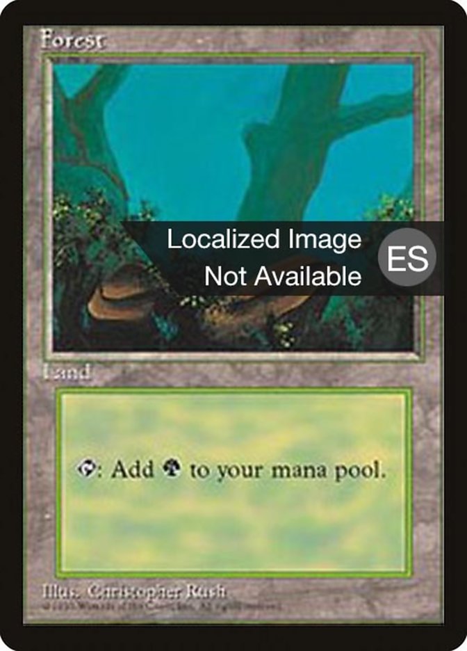Forest (A) [Fourth Edition (Foreign Black Border)] | Boutique FDB TCG