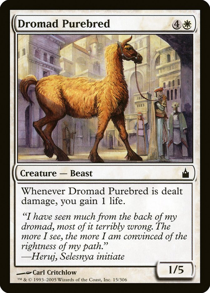 Dromad Purebred [Ravnica: City of Guilds] | Boutique FDB TCG