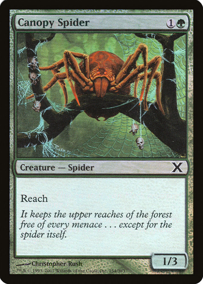 Canopy Spider (Premium Foil) [Tenth Edition] | Boutique FDB TCG