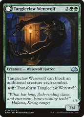 Tangleclaw Werewolf // Fibrous Entangler [Eldritch Moon] | Boutique FDB TCG