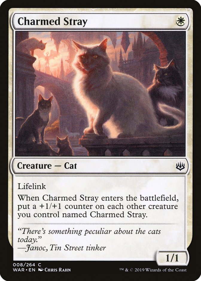 Charmed Stray [War of the Spark] | Boutique FDB TCG