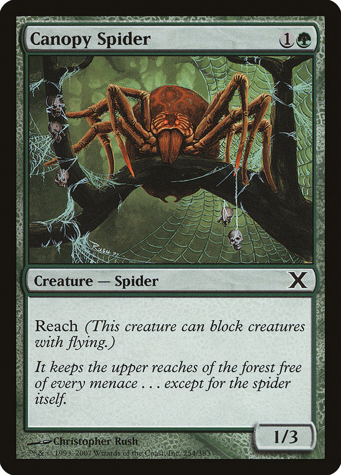 Canopy Spider [Tenth Edition] | Boutique FDB TCG