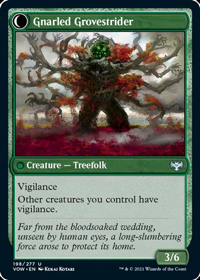 Dormant Grove // Gnarled Grovestrider [Innistrad: Crimson Vow] | Boutique FDB TCG