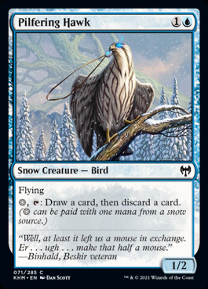 Pilfering Hawk [Kaldheim] | Boutique FDB TCG