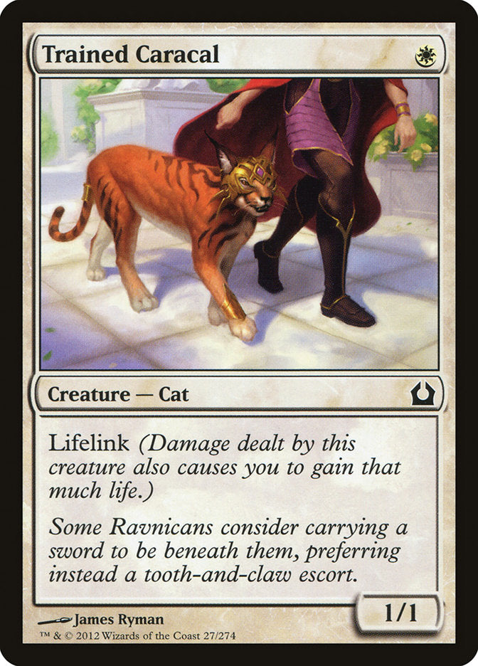 Trained Caracal [Return to Ravnica] | Boutique FDB TCG