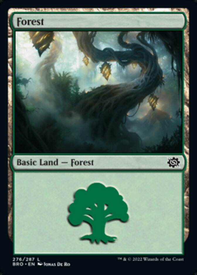 Forest (276) [The Brothers' War] | Boutique FDB TCG