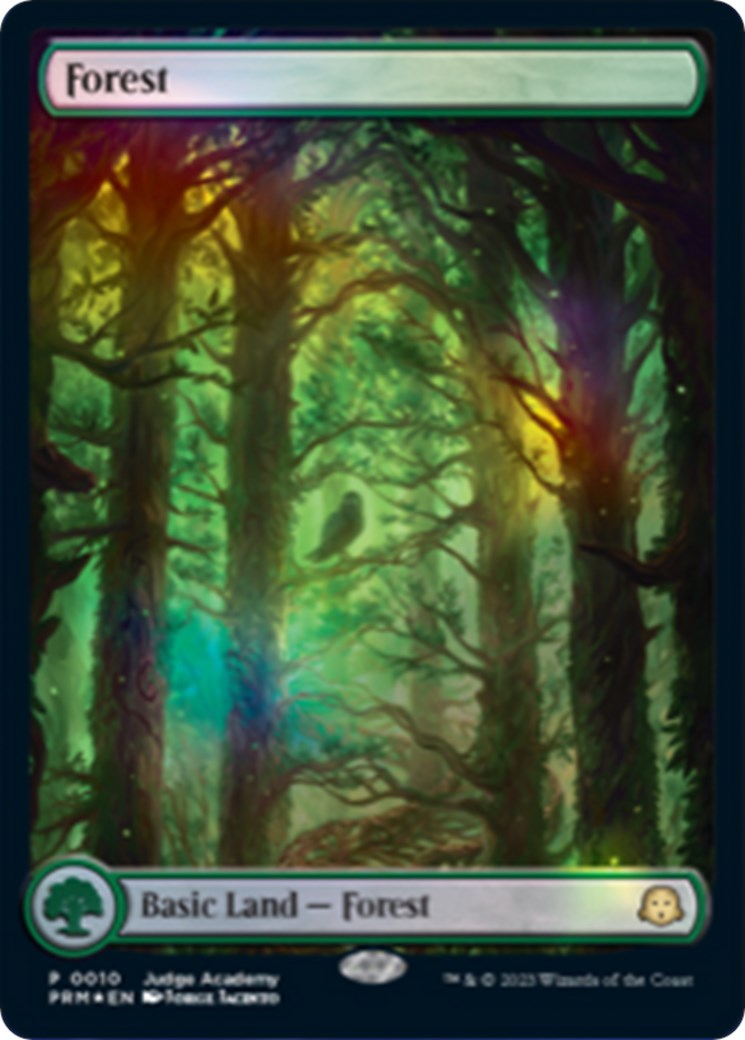 Forest [Judge Gift Cards 2023] | Boutique FDB TCG