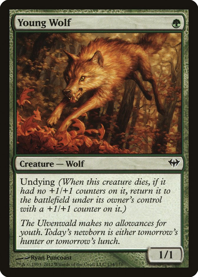 Young Wolf [Dark Ascension] | Boutique FDB TCG