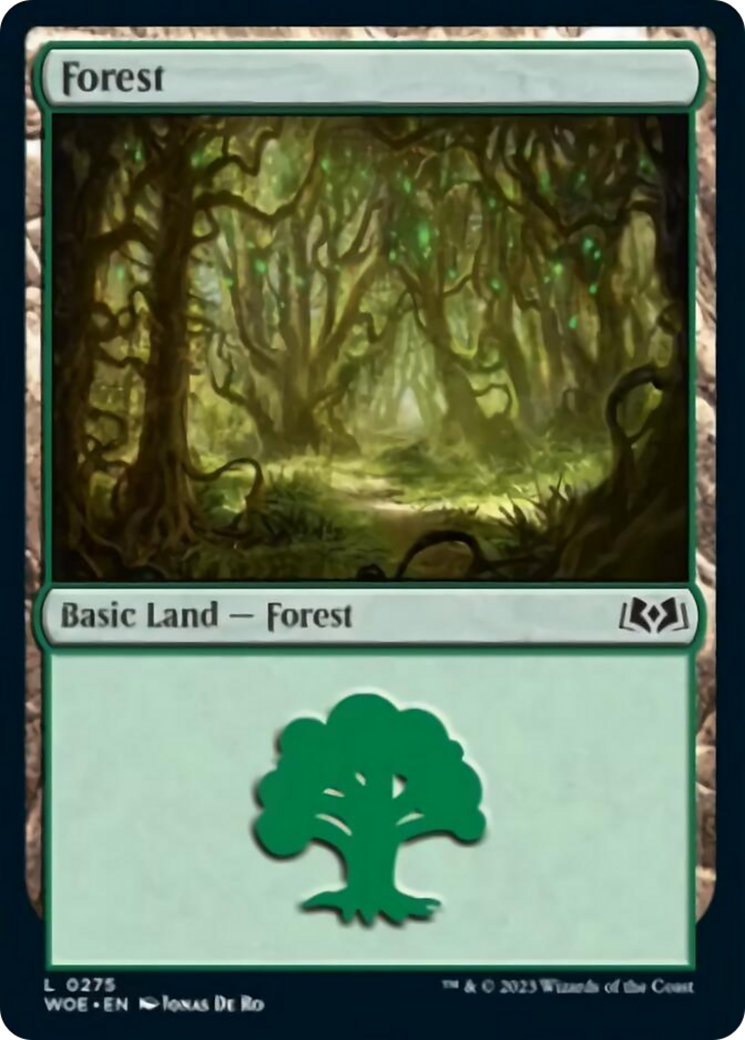 Forest (0275) [Wilds of Eldraine] | Boutique FDB TCG