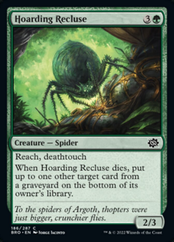 Hoarding Recluse [The Brothers' War] | Boutique FDB TCG