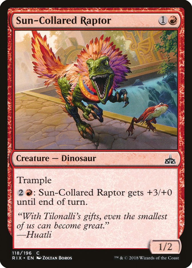 Sun-Collared Raptor [Rivals of Ixalan] | Boutique FDB TCG