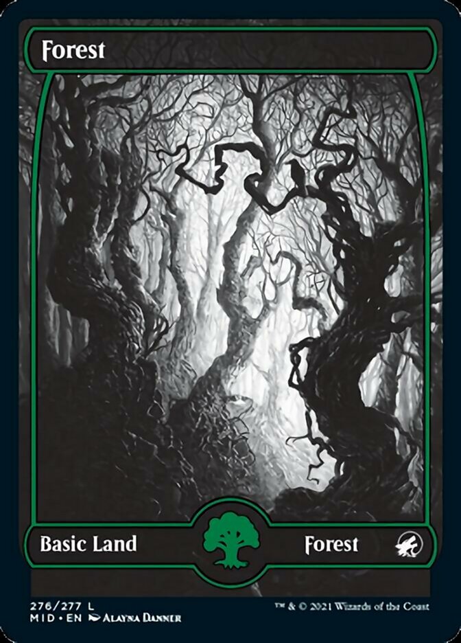 Forest (276) [Innistrad: Midnight Hunt] | Boutique FDB TCG