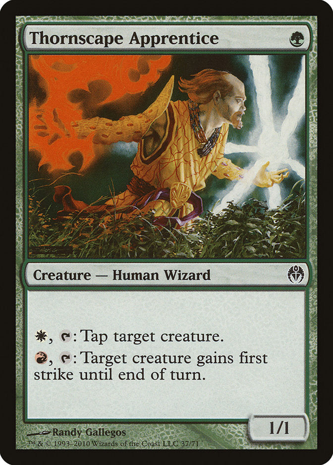 Thornscape Apprentice [Duel Decks: Phyrexia vs. the Coalition] | Boutique FDB TCG