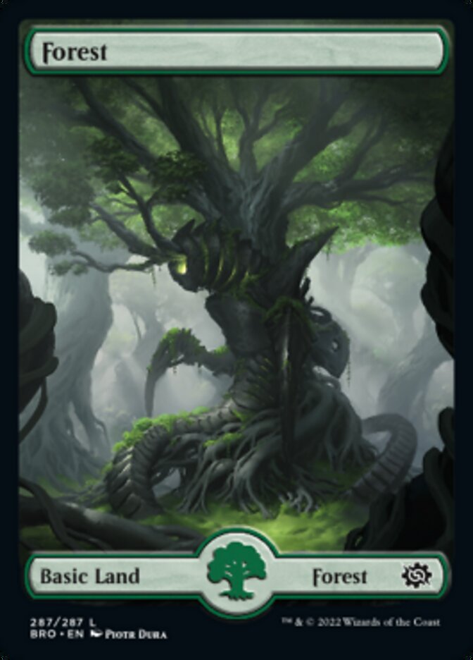 Forest (287) [The Brothers' War] | Boutique FDB TCG