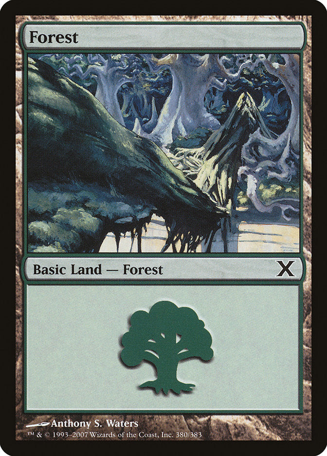 Forest (380) [Tenth Edition] | Boutique FDB TCG