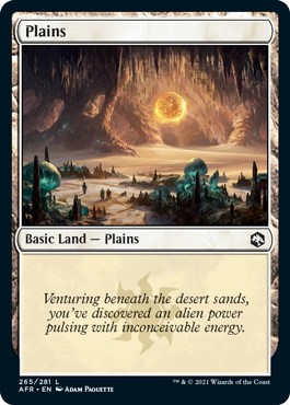 Plains (265) [Dungeons & Dragons: Adventures in the Forgotten Realms] | Boutique FDB TCG