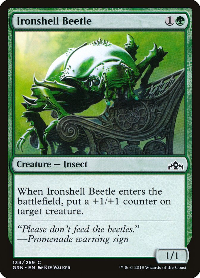 Ironshell Beetle [Guilds of Ravnica] | Boutique FDB TCG