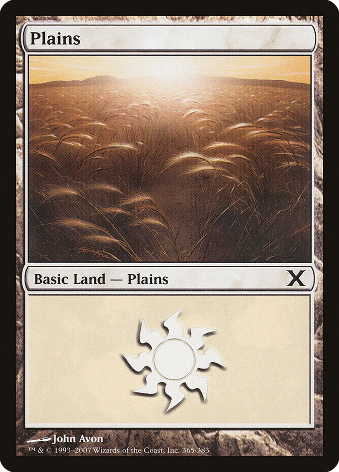 Plains (365) [Tenth Edition] | Boutique FDB TCG