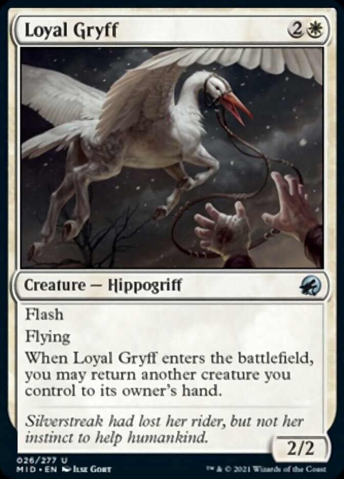 Loyal Gryff [Innistrad: Midnight Hunt] | Boutique FDB TCG