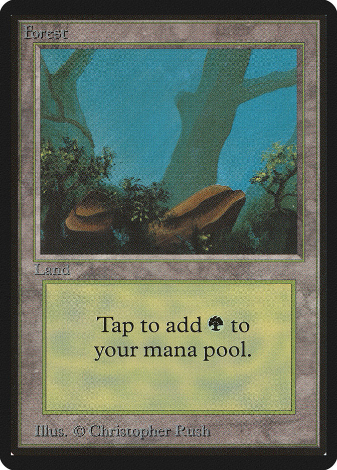 Forest (300) [Beta Edition] | Boutique FDB TCG