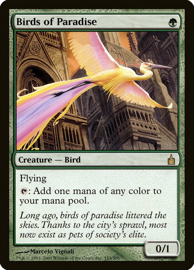 Birds of Paradise [Ravnica: City of Guilds] | Boutique FDB TCG