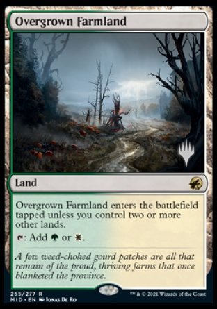 Overgrown Farmland (Promo Pack) [Innistrad: Midnight Hunt Promos] | Boutique FDB TCG