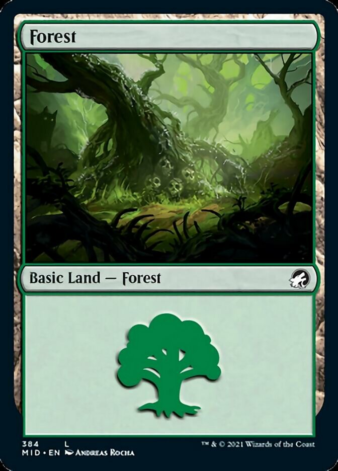 Forest (384) [Innistrad: Midnight Hunt] | Boutique FDB TCG