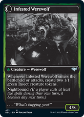 Infestation Expert // Infested Werewolf [Innistrad: Double Feature] | Boutique FDB TCG