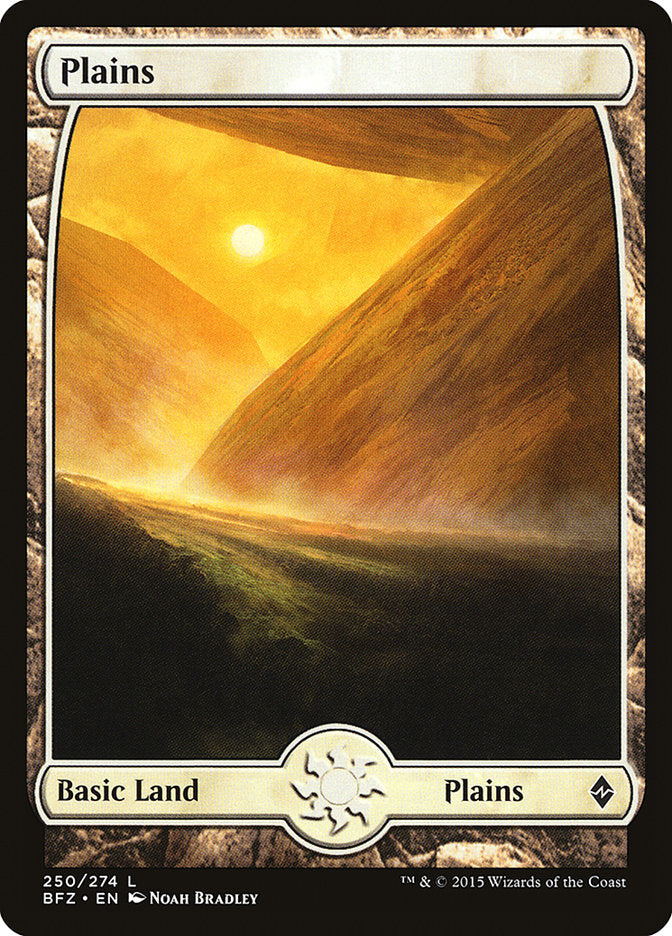 Plains (250) [Battle for Zendikar] | Boutique FDB TCG